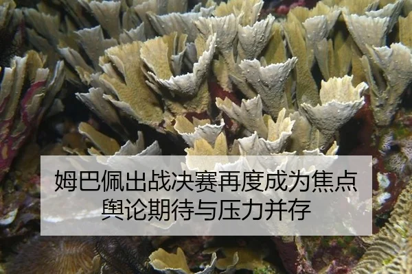 mu-ba-pei-chu-zhan-jue-sai-zai-du-cheng-wei-jiao-dian-yu-lun-qi-dai-yu-ya-li-bing-cun-2-966.jpg